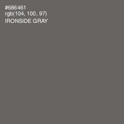 #686461 - Ironside Gray Color Image